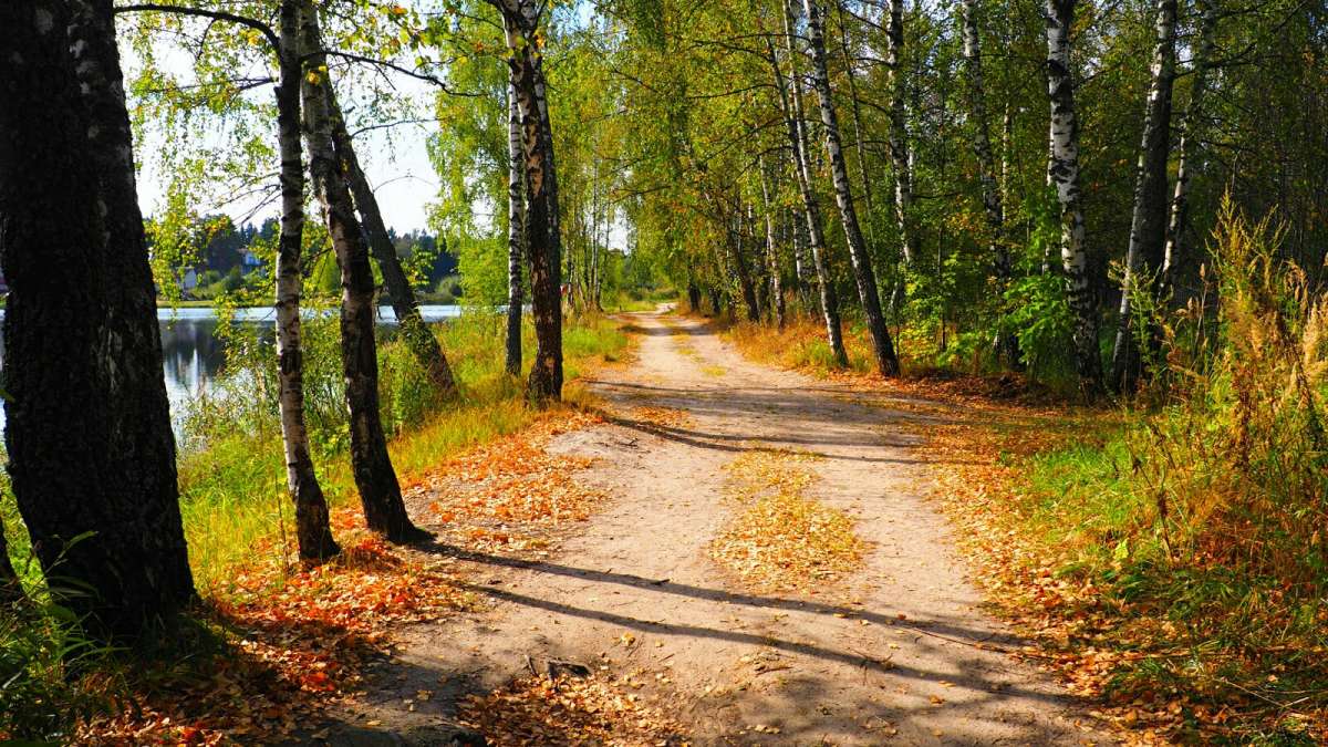 ������� ����������� ������. ����� �������� �������� �� PhotoGeek.ru #������ ��� �������