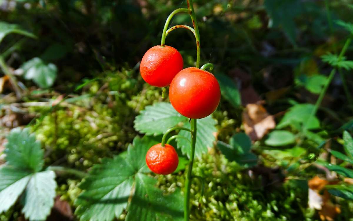 ����� ������� ����� �������� �������� �� PhotoGeek.ru #����� #������ ��� �������