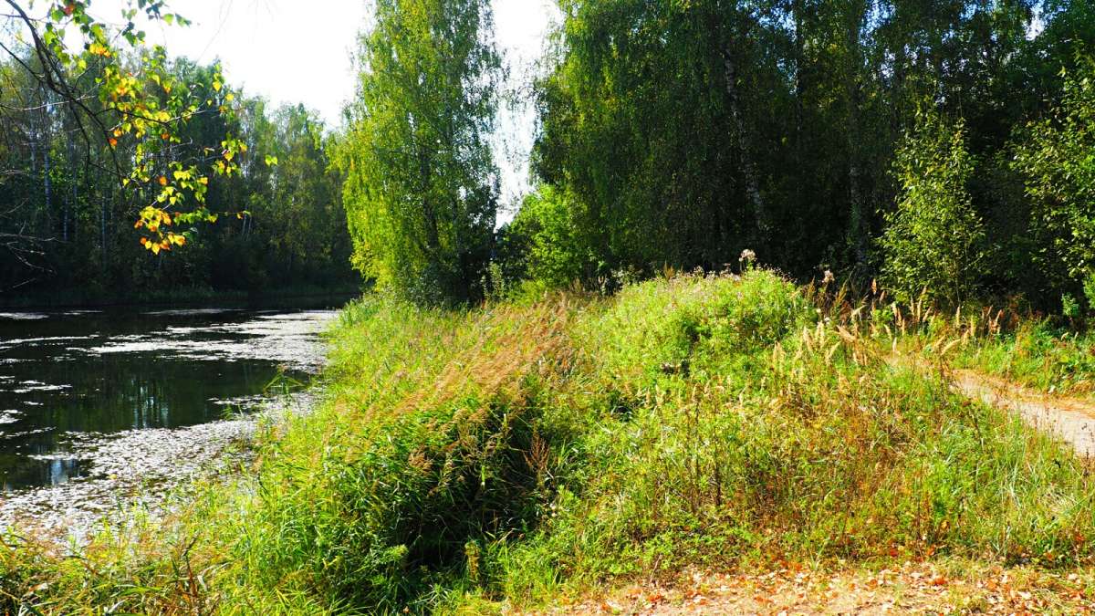 ������ ����� ���������� ����� �������� �������� �� PhotoGeek.ru #������ ��� �������