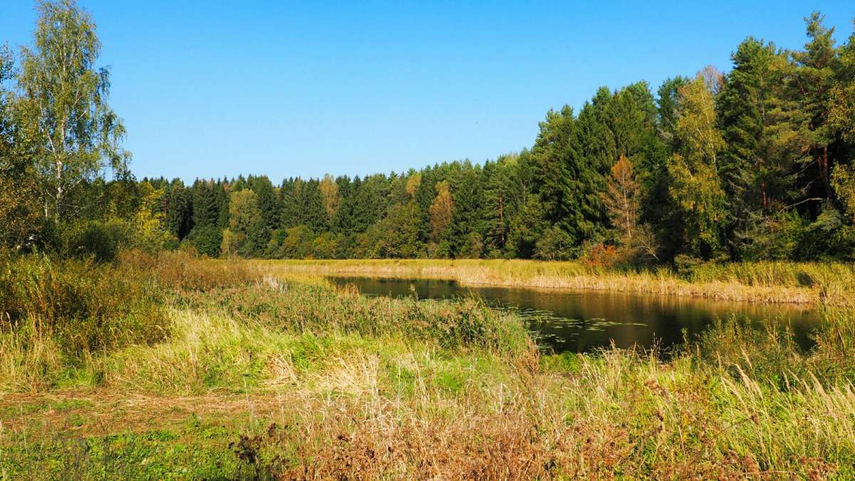 ����� � ������� ����� �������� �������� �� PhotoGeek.ru #������ ��� �������