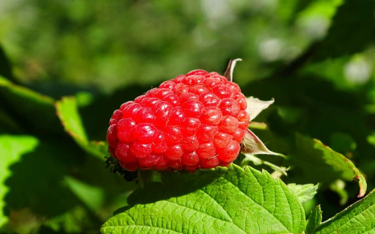 ���� ������� ������. ����� �������� �������� �� PhotoGeek.ru #��� #����� #�����