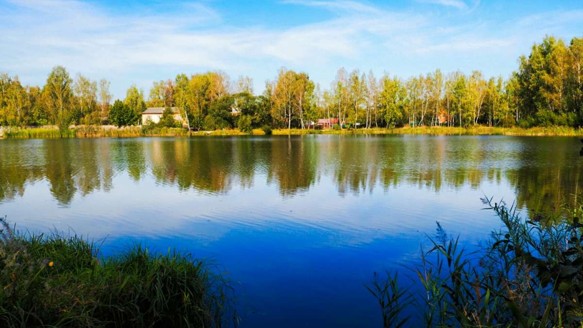 ������� ����������� ������. ����� �������� �������� �� PhotoGeek.ru #������ ��� �������