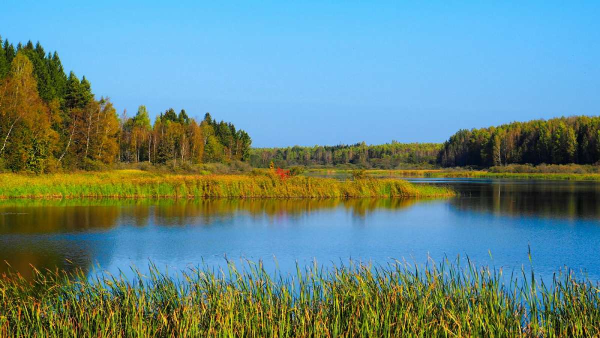 ���� ���������� ����� �������� �������� �� PhotoGeek.ru #������ ��� �������