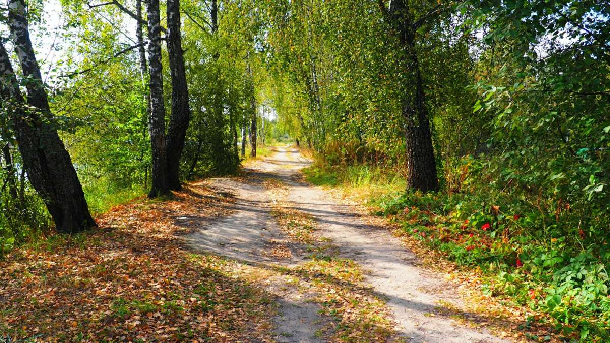 Ҹ���� � ��������� ��������. ����� �������� �������� �� PhotoGeek.ru #������ ��� �������