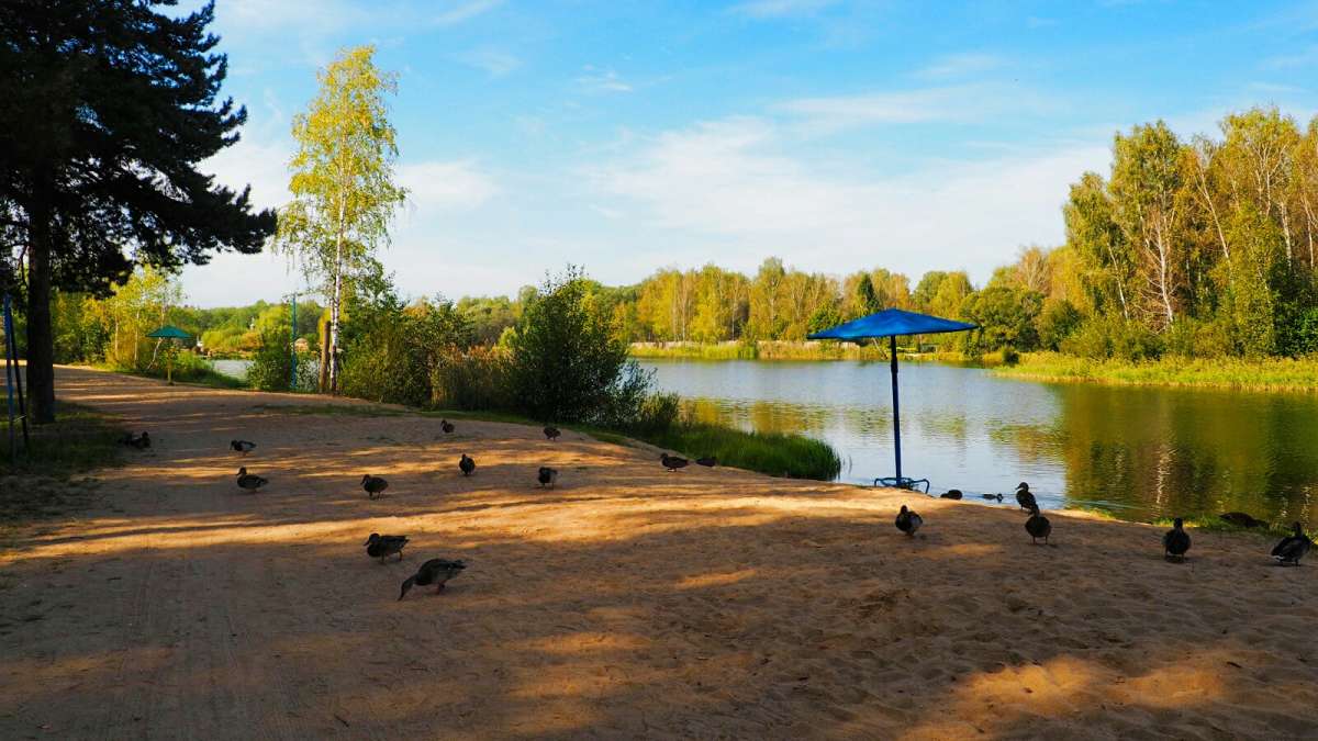 ���� �� ������ �����. ����� �������� �������� �� PhotoGeek.ru #�������� ��� #������ ��� �������