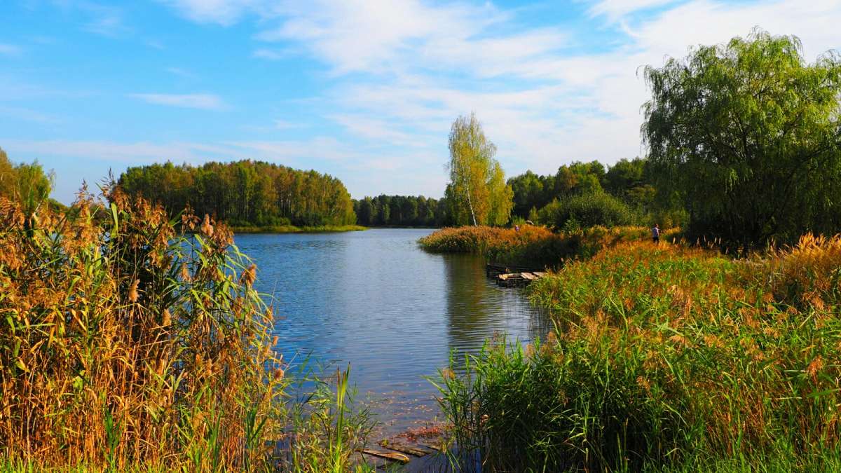 ������� ���������� � ��������. ����� �������� �������� �� PhotoGeek.ru #������ ��� �������