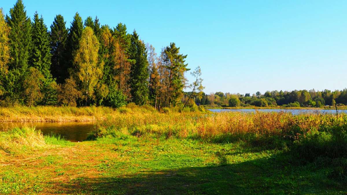 ��������� ������������ ����. ����� �������� �������� �� PhotoGeek.ru #������ ��� �������