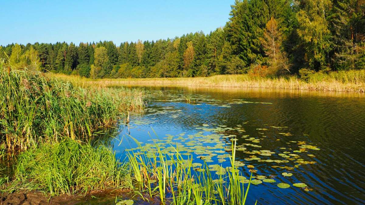 ����� - �������� ����� �������� �������� �� PhotoGeek.ru #������ ��� �������