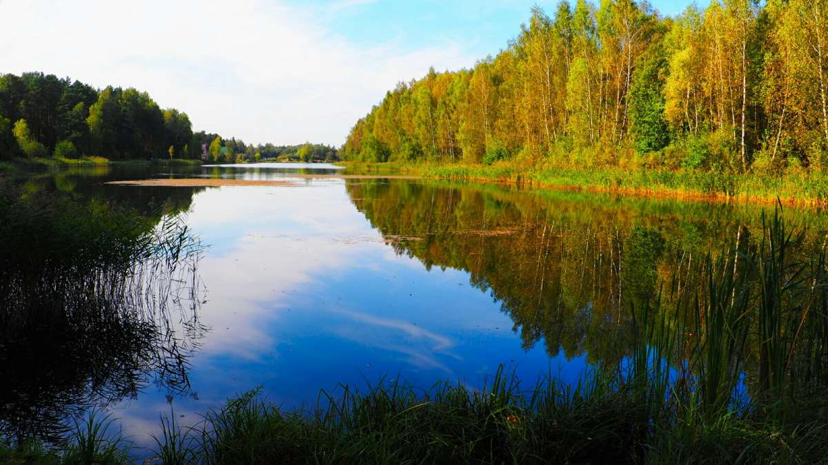 ���������� � �������� ����� �������� �������� �� PhotoGeek.ru #������ ��� �������