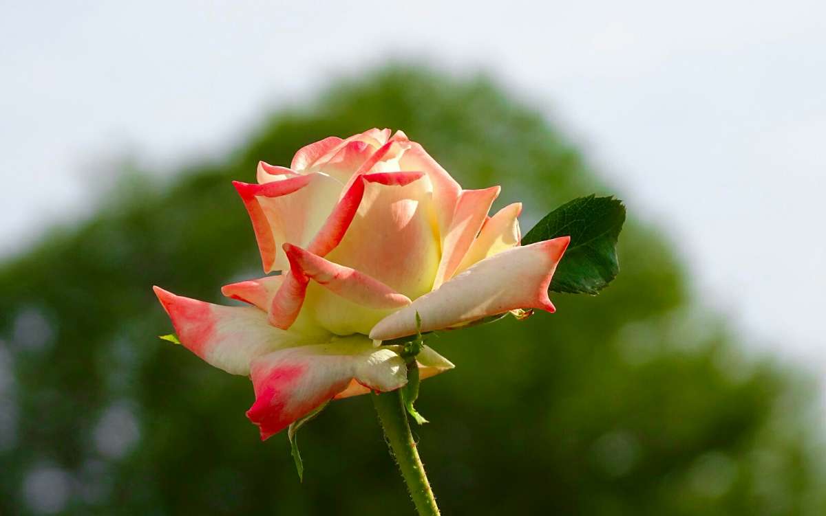 ��������� ����. ����� �������� �������� �� PhotoGeek.ru #����� #�����