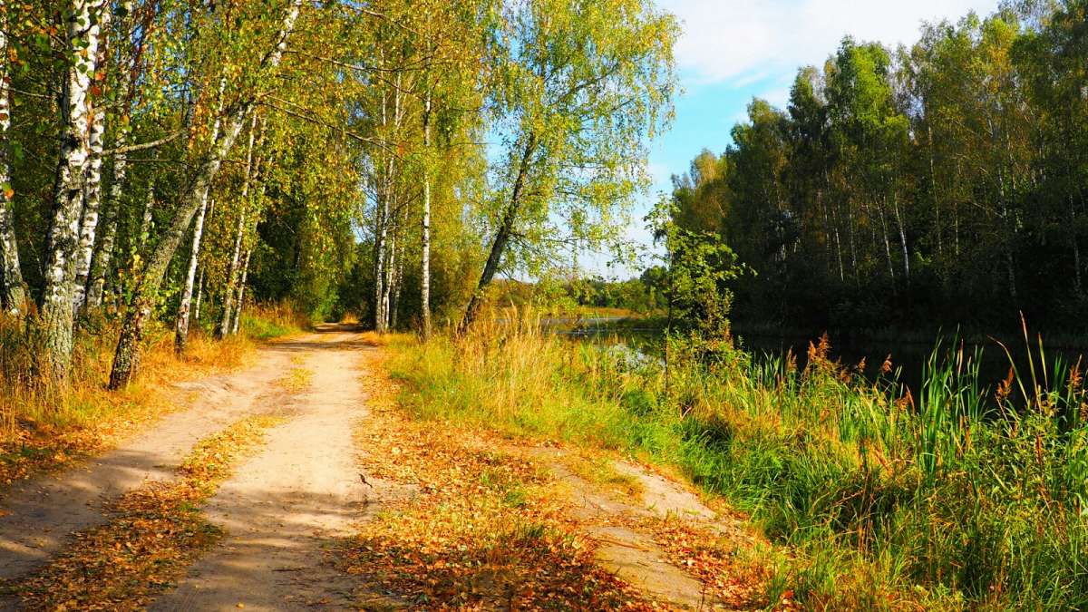 ����� ������� �����. ����� �������� �������� �� PhotoGeek.ru #������ ��� �������