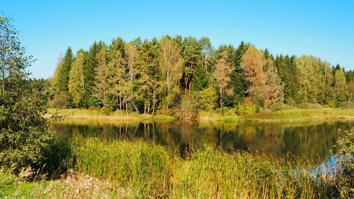 �������� �����. ����� �������� �������� �� PhotoGeek.ru #������ ��� �������