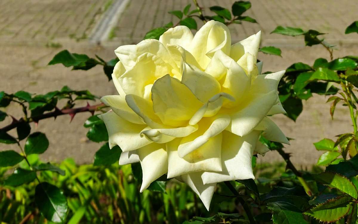 ��������� ����. ����� �������� �������� �� PhotoGeek.ru #����� #�����