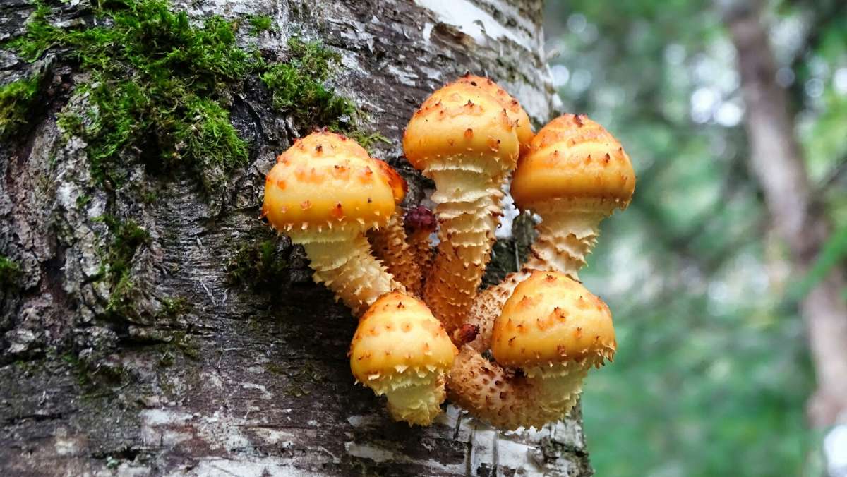 ����� ���������� (����������� �����) ����� �������� �������� �� PhotoGeek.ru #�����