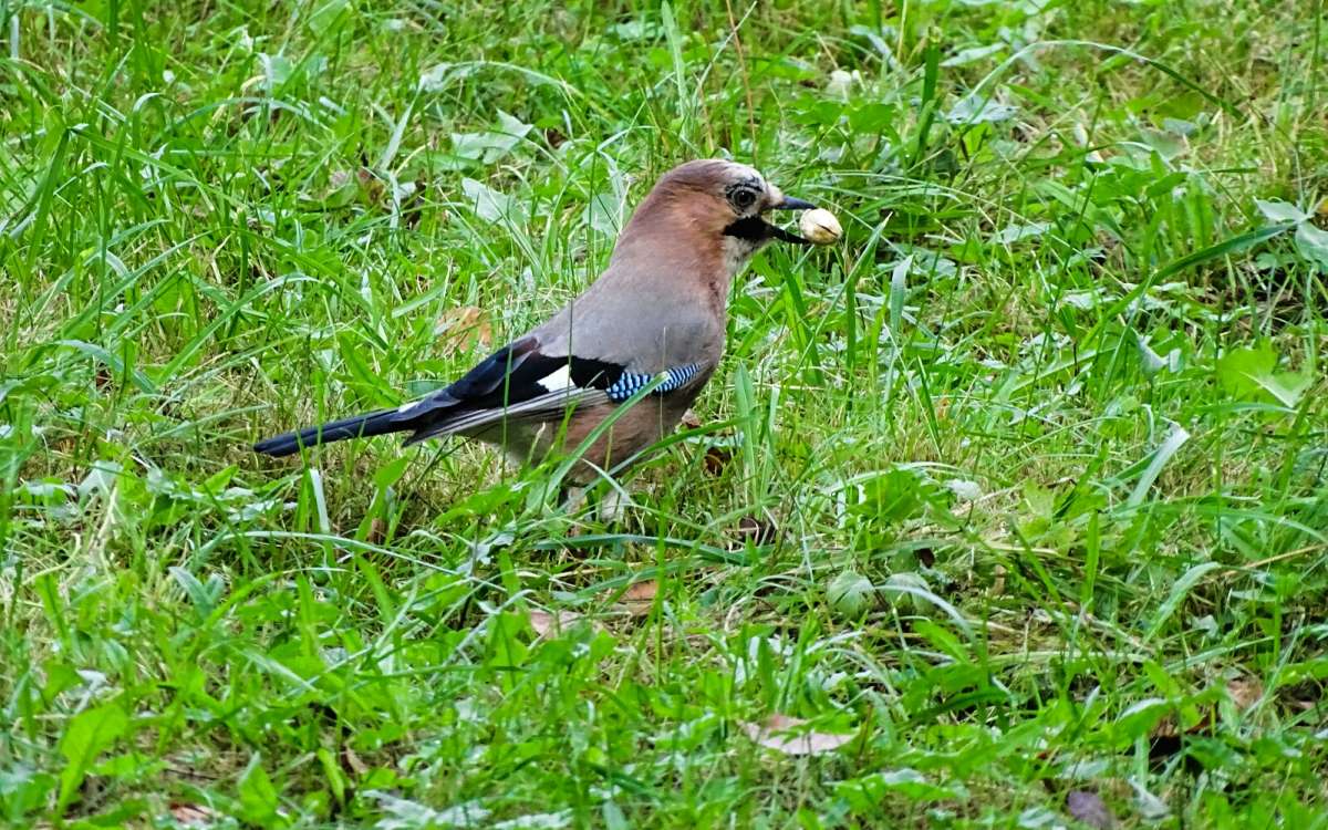 ����� � ���������� ������ ����� �������� �������� �� PhotoGeek.ru #����� #�������� ���