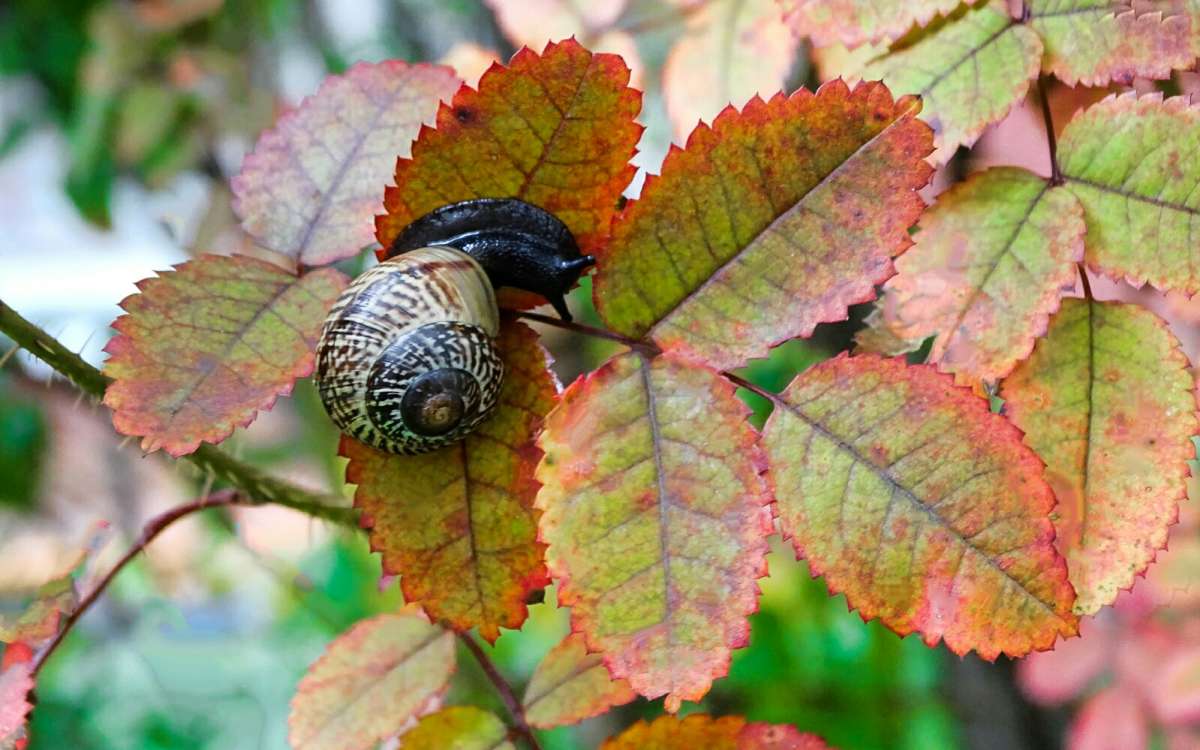 ������� �����. ����� �������� �������� �� PhotoGeek.ru #����� #����� #�������� ���