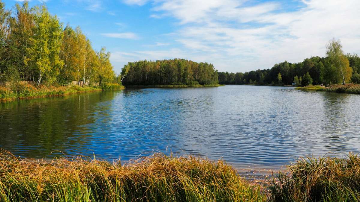 ���������� ����� ����� �������� �������� �� PhotoGeek.ru #������ ��� �������