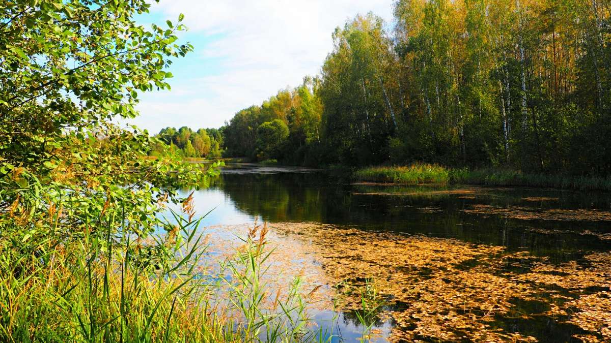 ������� ������ ����� �������� �������� �� PhotoGeek.ru #������ ��� �������