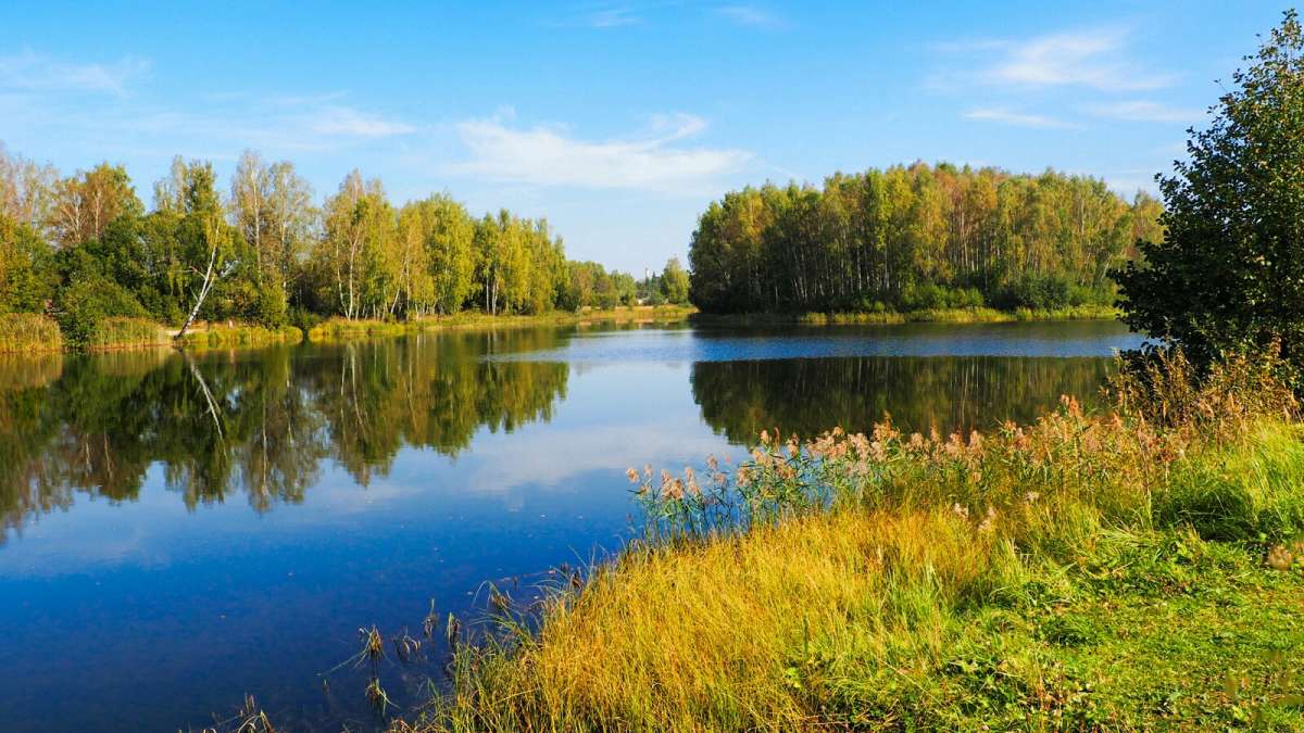 ����� - �������� ����� �������� �������� �� PhotoGeek.ru #������ ��� �������