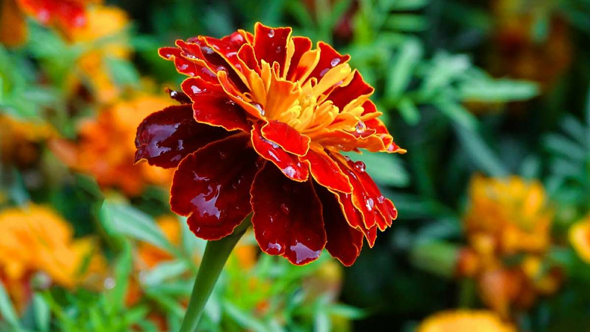 ������� ����� ����� �������� �������� �� PhotoGeek.ru #����� #�����