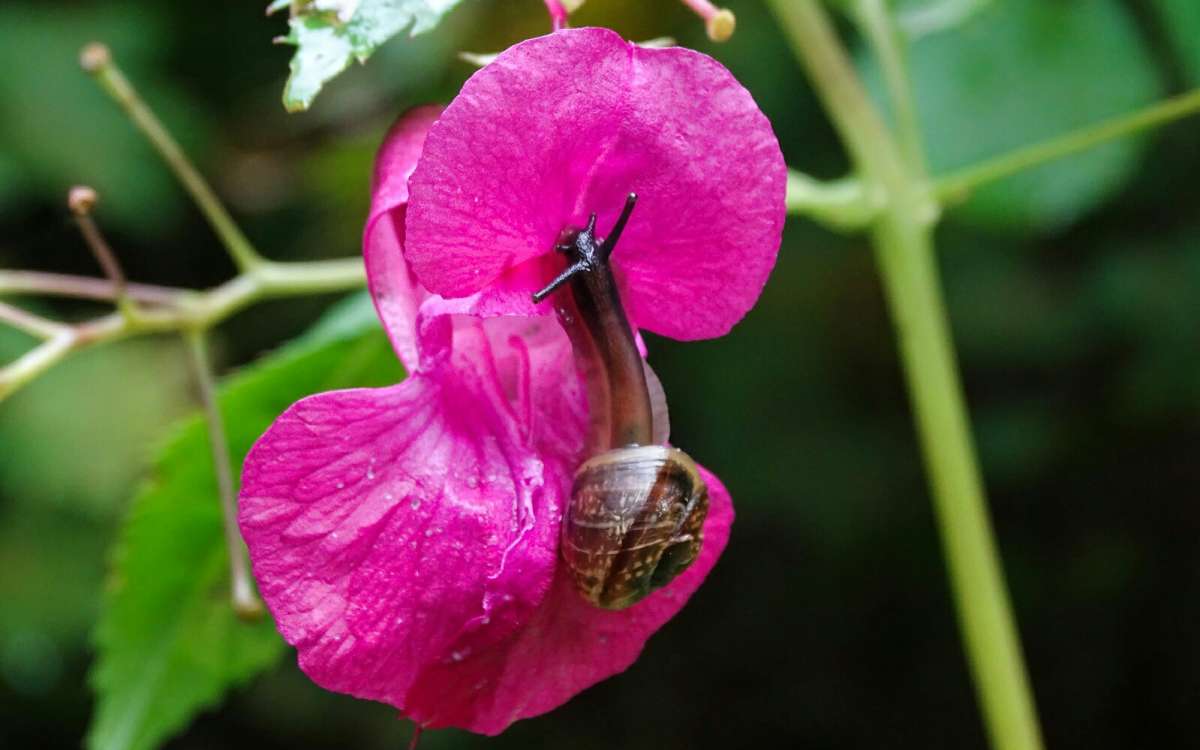 ������ �� ���������. ����� �������� �������� �� PhotoGeek.ru #����� #�������� ���