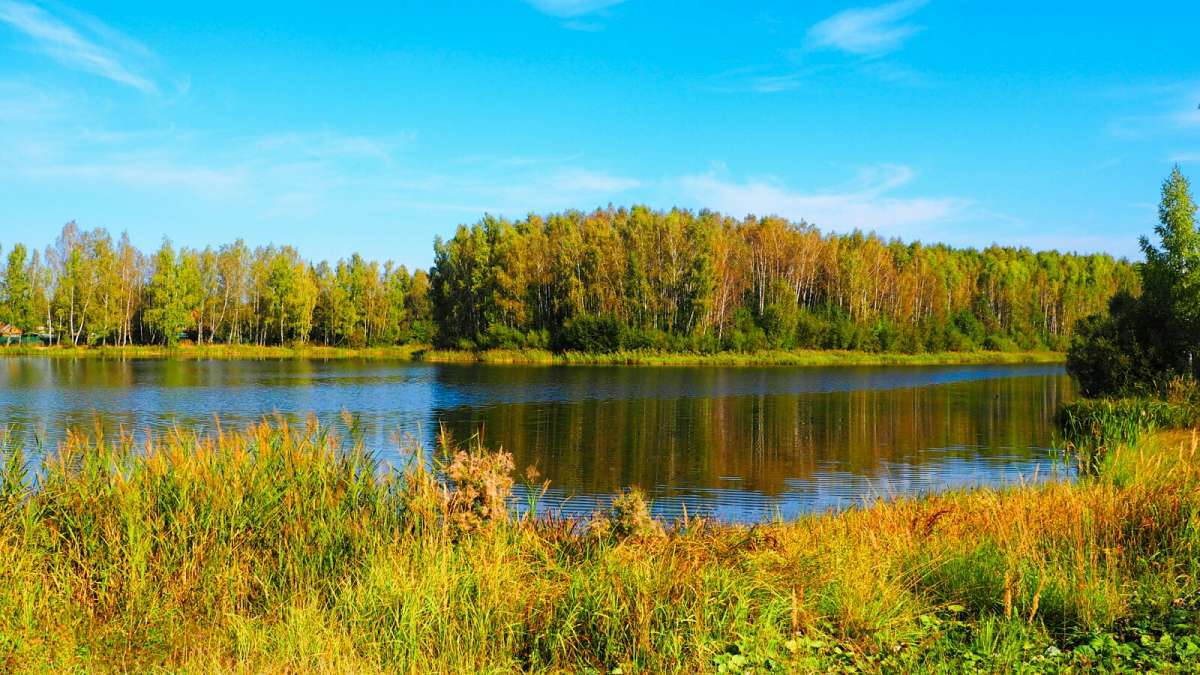 ���������� �����. ����� �������� �������� �� PhotoGeek.ru #������ ��� �������