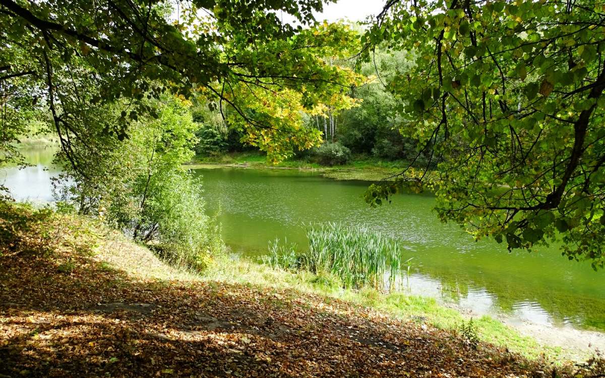 �������  �����. ����� �������� �������� �� PhotoGeek.ru #������ ��� �������