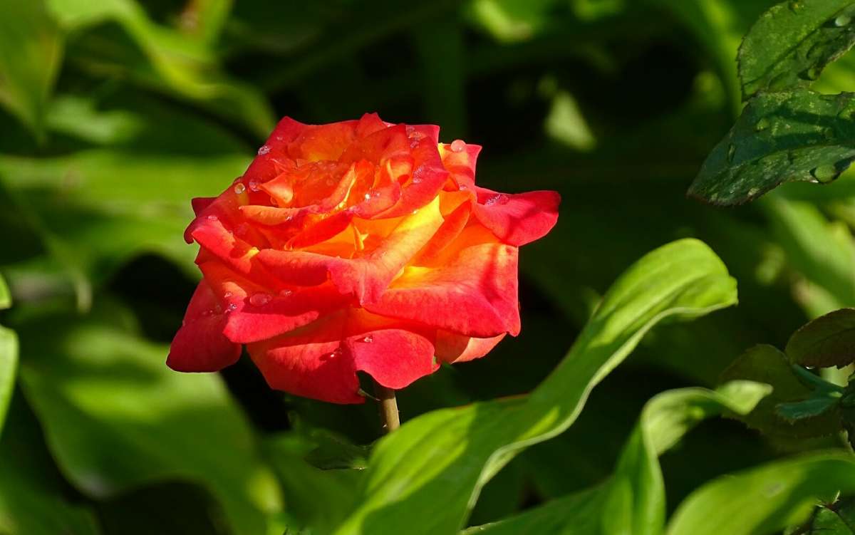 ��� ������ �� ��������� ������� ����. ����� �������� �������� �� PhotoGeek.ru #����� #�����