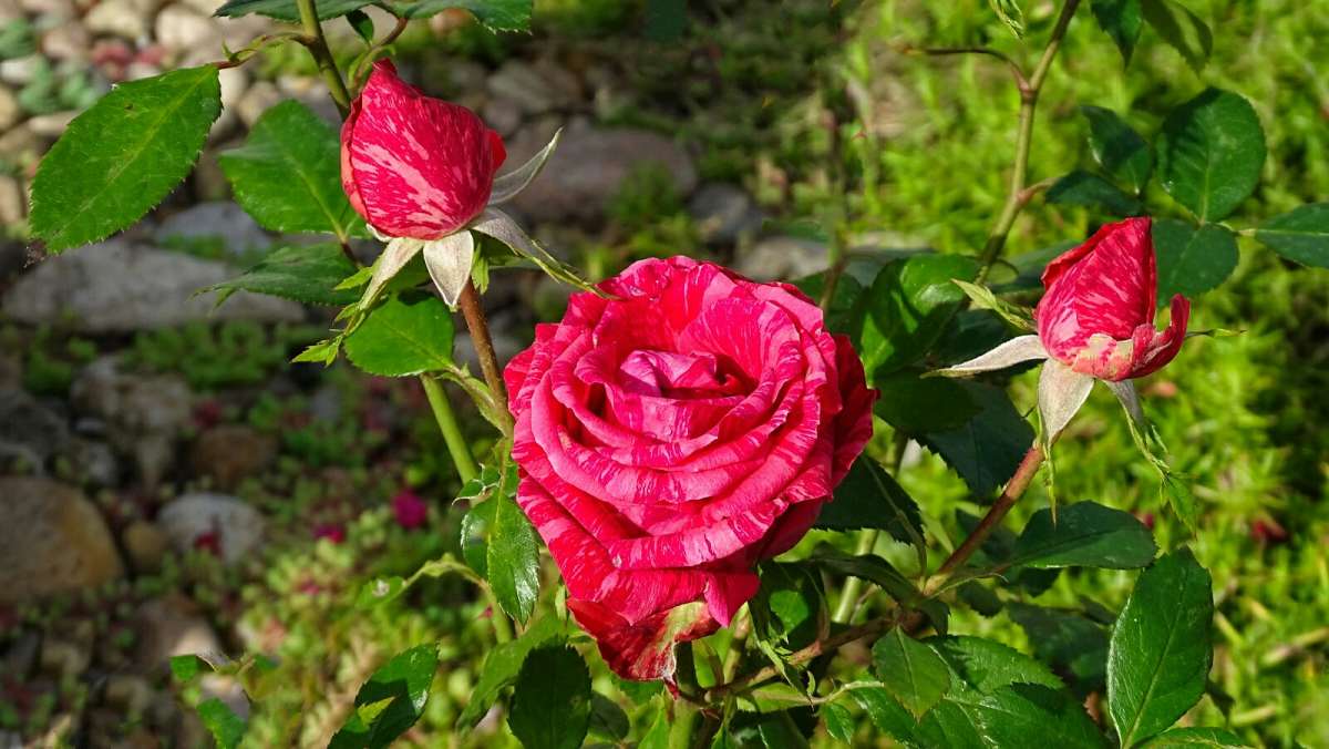 ������� ���� ����� �������� �������� �� PhotoGeek.ru #����� #�����