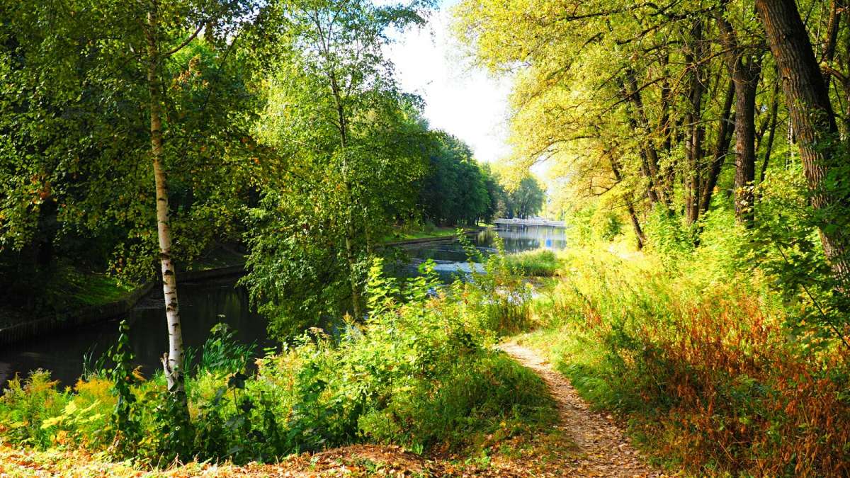 ������� ����. ����� �������� �������� �� PhotoGeek.ru #����� #������ ��� �������