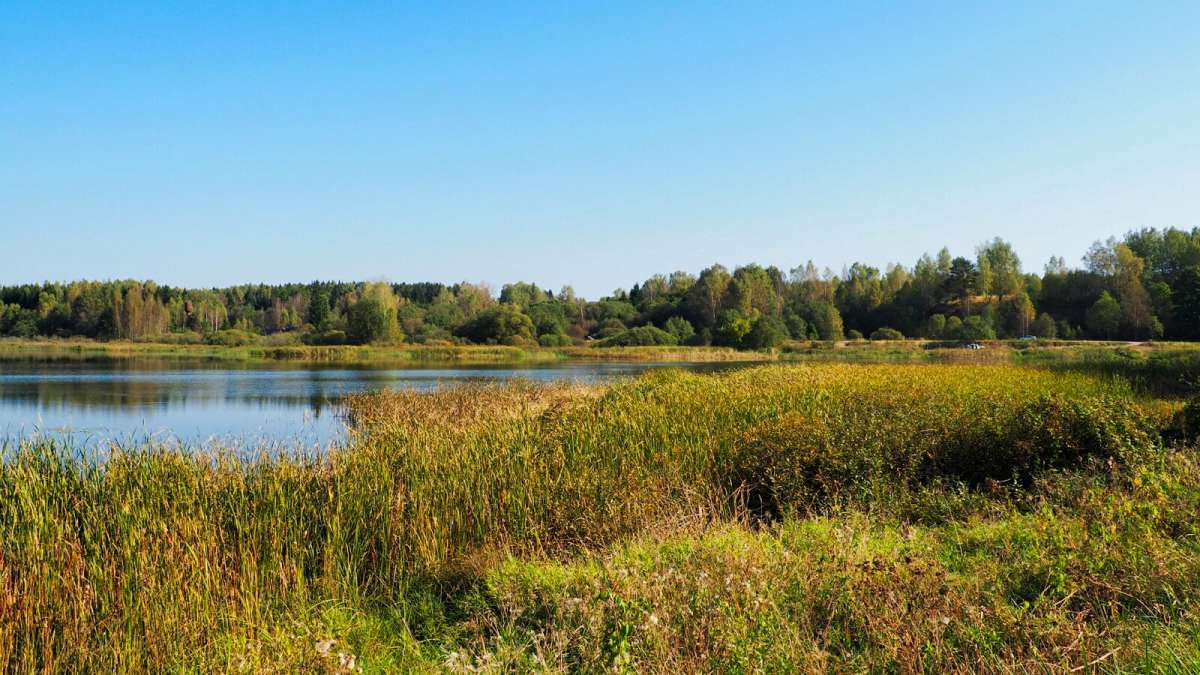 ����� - �������� ����� �������� �������� �� PhotoGeek.ru #������ ��� �������