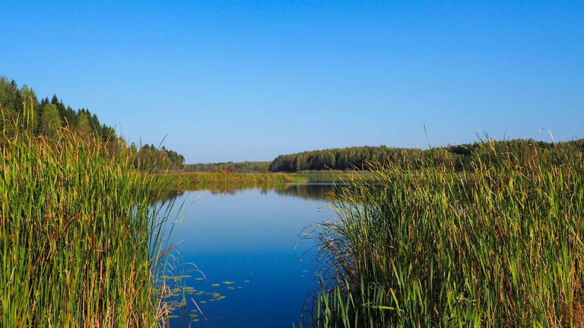 ������ ����� ����� �������� �������� �� PhotoGeek.ru #������ ��� �������