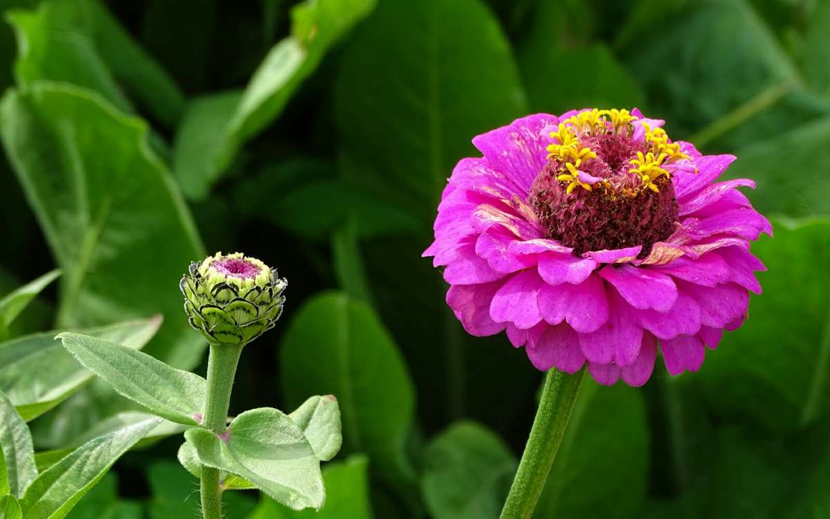 ����� �� ��������� ������� ����� �������� �������� �� PhotoGeek.ru #����� #�����