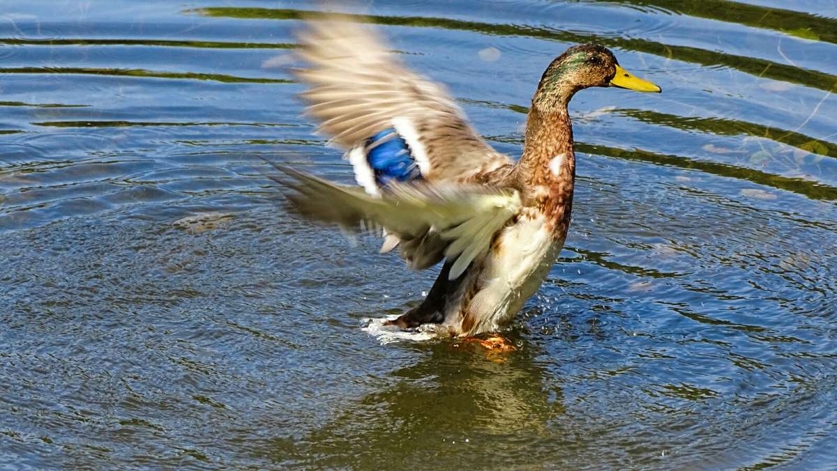 �� �����. ����� �������� �������� �� PhotoGeek.ru #����� #�������� ���