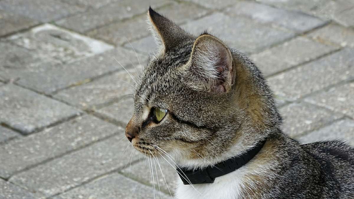 ������ ������� ����� �������� �������� �� PhotoGeek.ru #����� #�������� ���