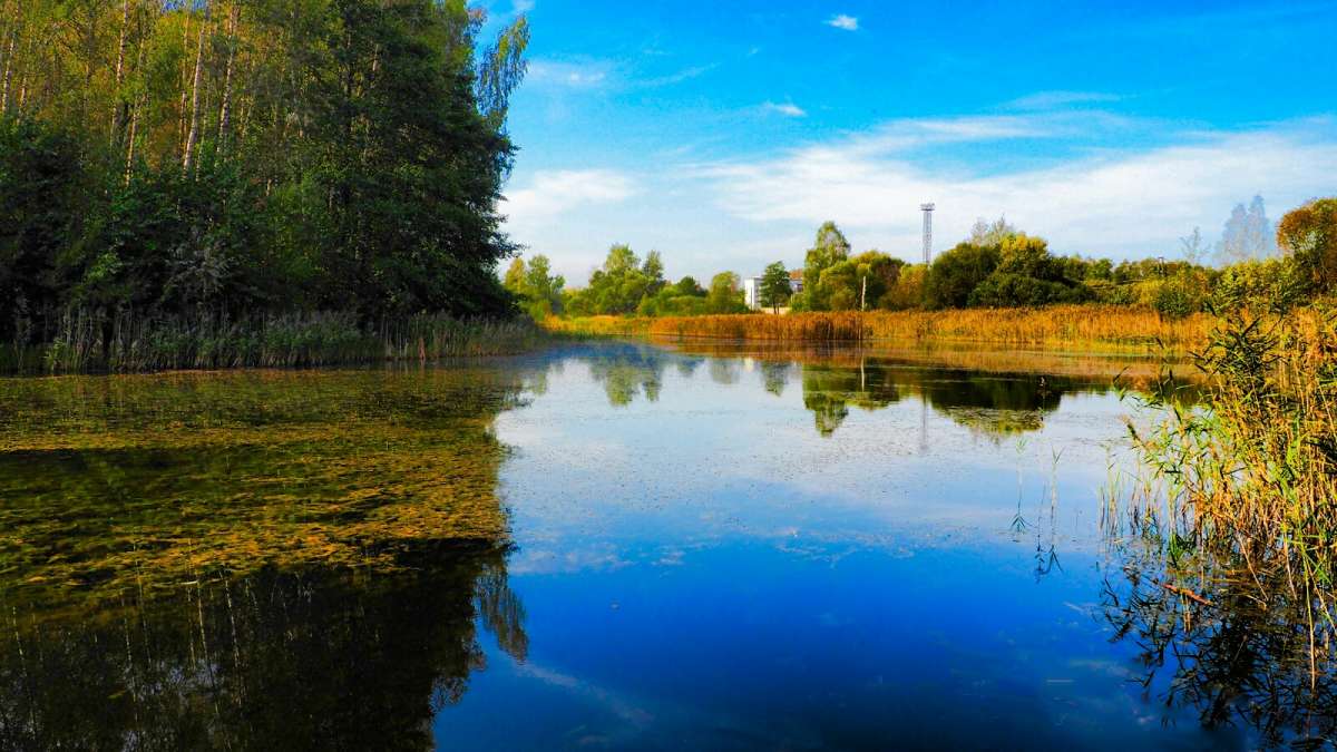 ����� ������ �����. ����� �������� �������� �� PhotoGeek.ru #������ ��� �������