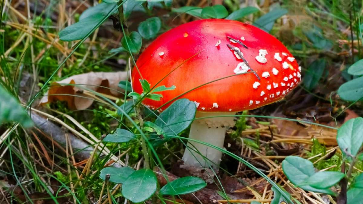 �������� �����. ����� �������� �������� �� PhotoGeek.ru #����� #������ ��� �������