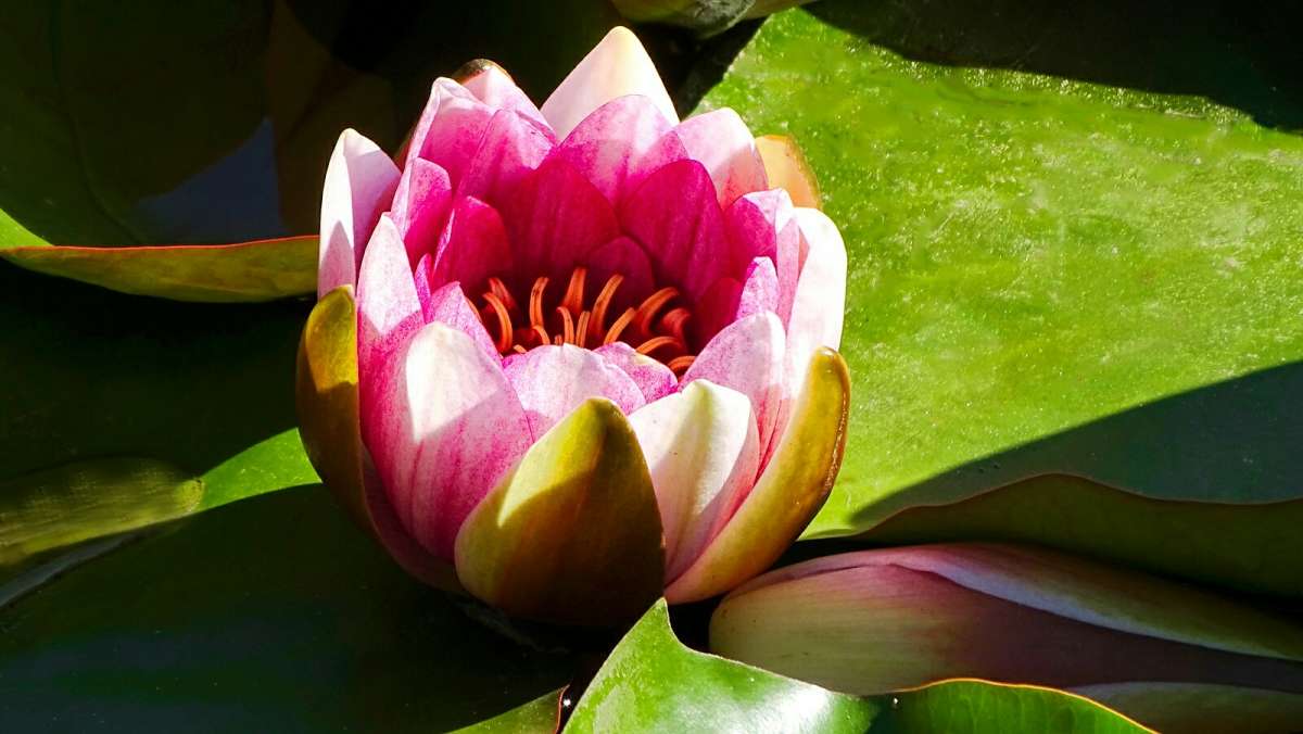 ������� �������� ������� �����. ����� �������� �������� �� PhotoGeek.ru #�����