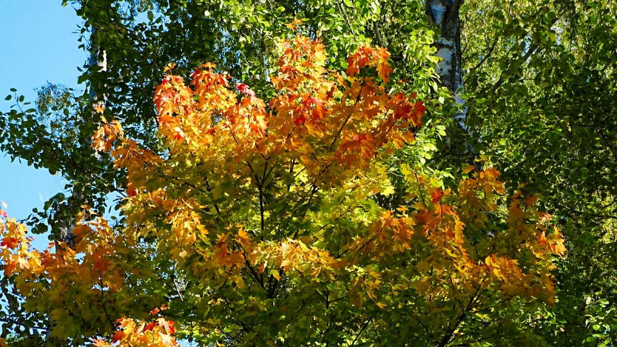 ����� ������ �����. ����� �������� �������� �� PhotoGeek.ru #������ ��� �������