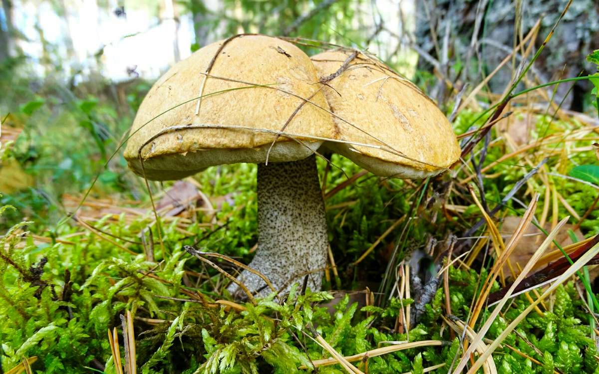 ������� �����������. ����� �������� �������� �� PhotoGeek.ru #����� #������ ��� �������