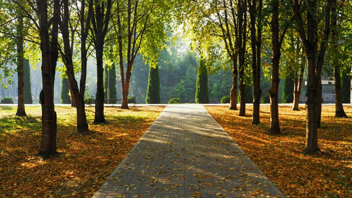 � ��������� ����� �������� �������� �� PhotoGeek.ru #����� #������ ��� �������