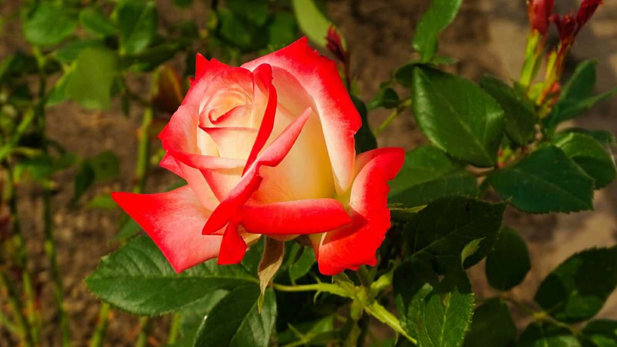 ���� � �������� ����� �������� �������� �� PhotoGeek.ru #����� #�����