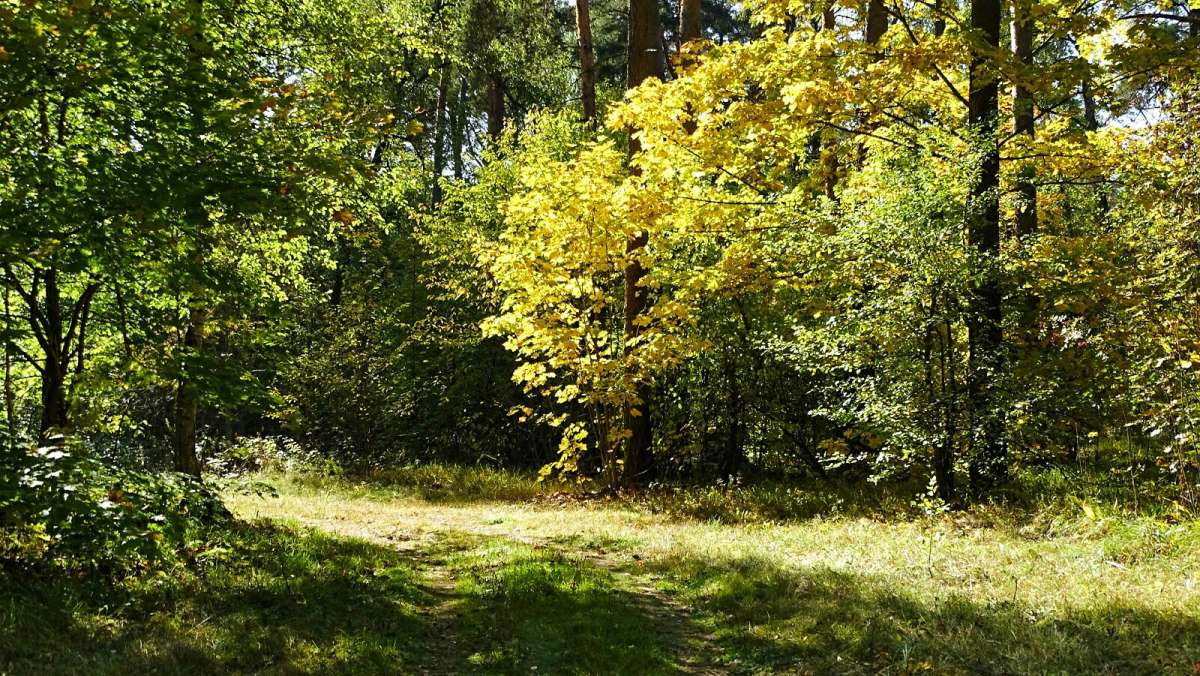 � ������� ����. ����� �������� �������� �� PhotoGeek.ru #������ ��� �������