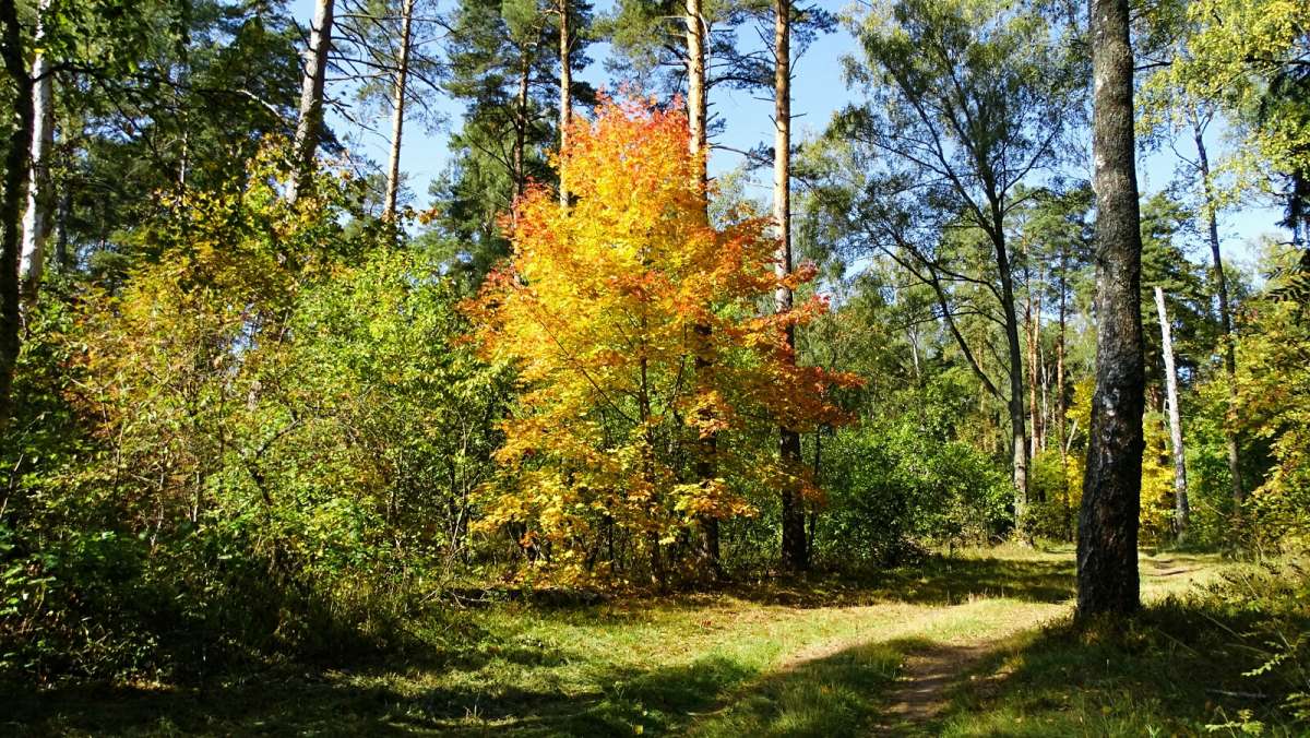 ������� ��� ����� �������� �������� �� PhotoGeek.ru #������ ��� �������