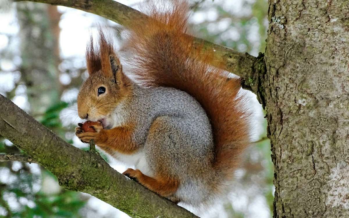 ����� ������ ���� ����� ������. ����� �������� �������� �� PhotoGeek.ru #����� #�������� ���