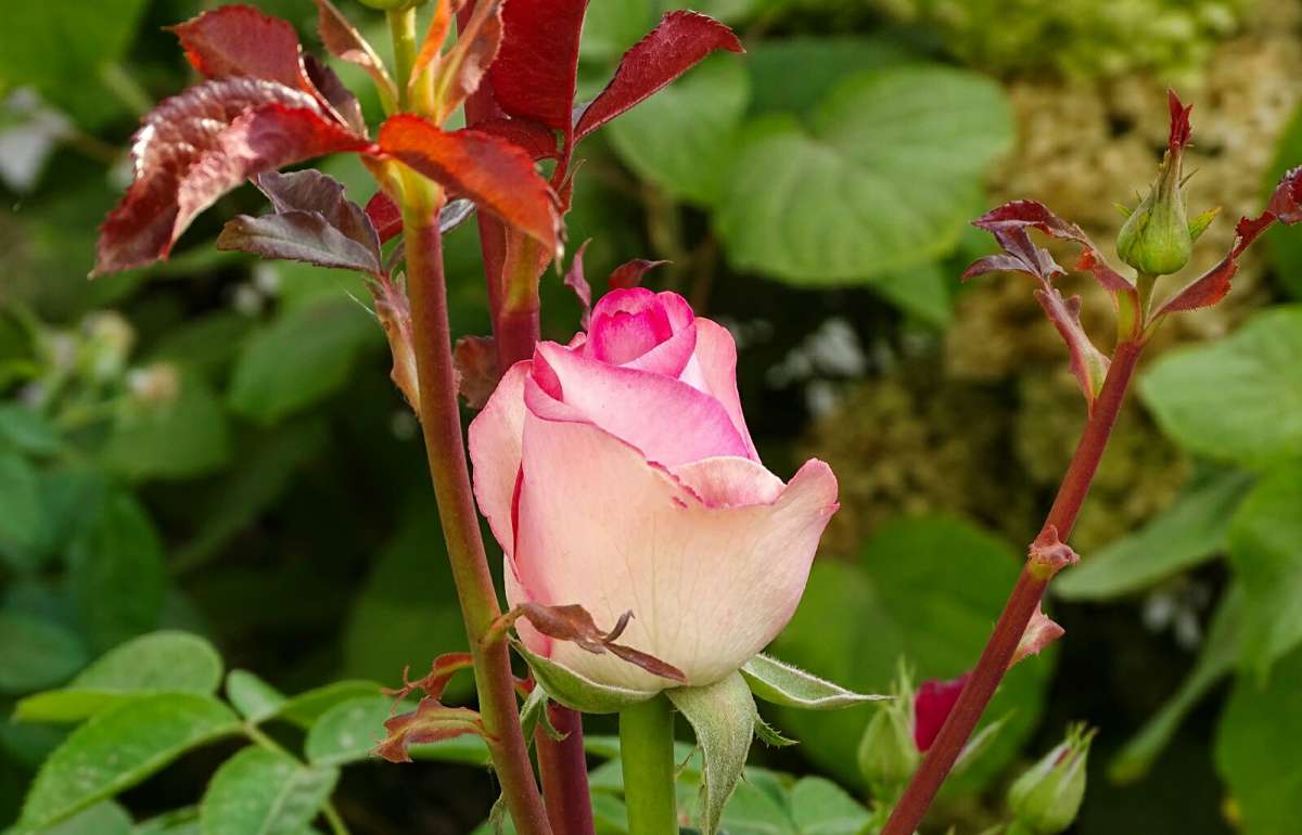 ������� ����. ����� �������� �������� �� PhotoGeek.ru #����� #�����