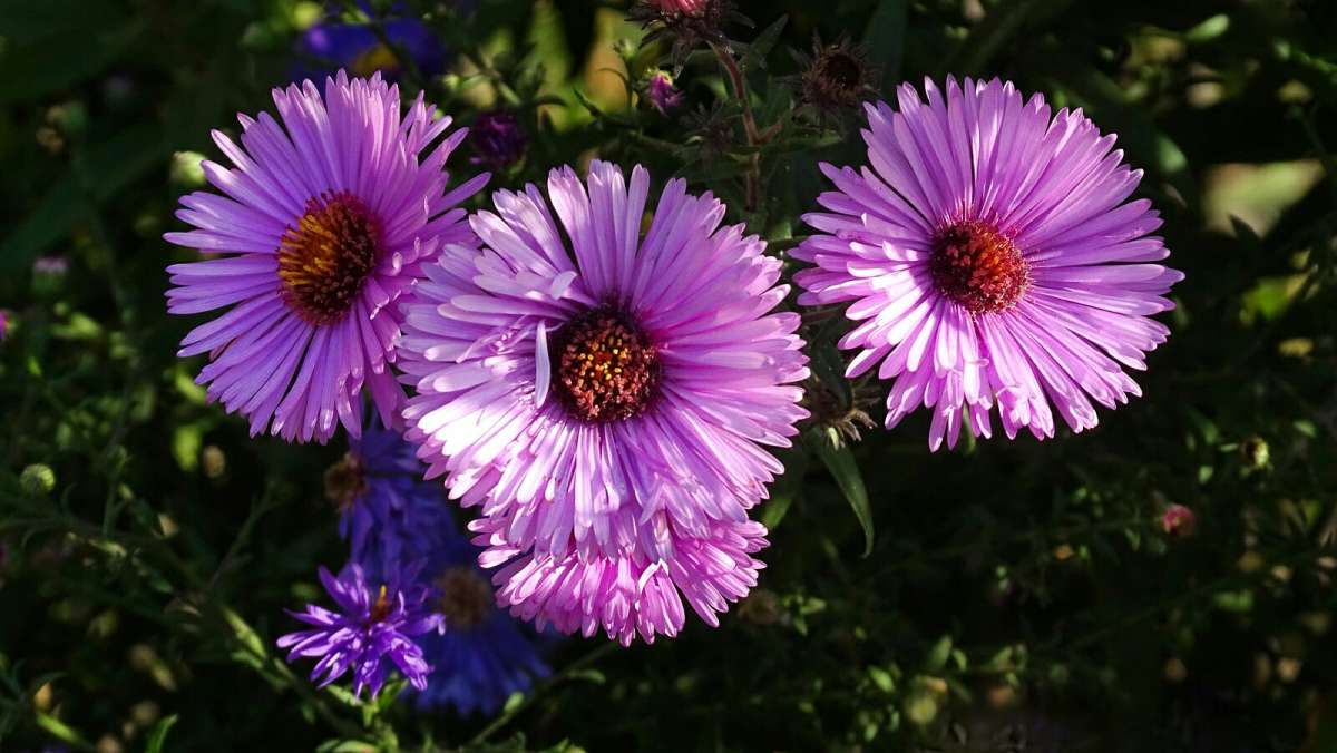 ������� ����� ����� �������� �������� �� PhotoGeek.ru #����� #�����