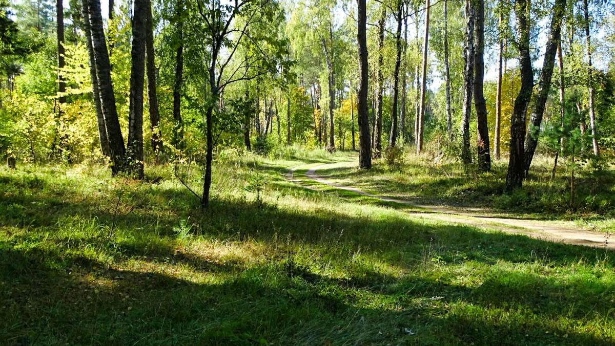 ��� � �������� ����� �������� �������� �� PhotoGeek.ru #������ ��� �������