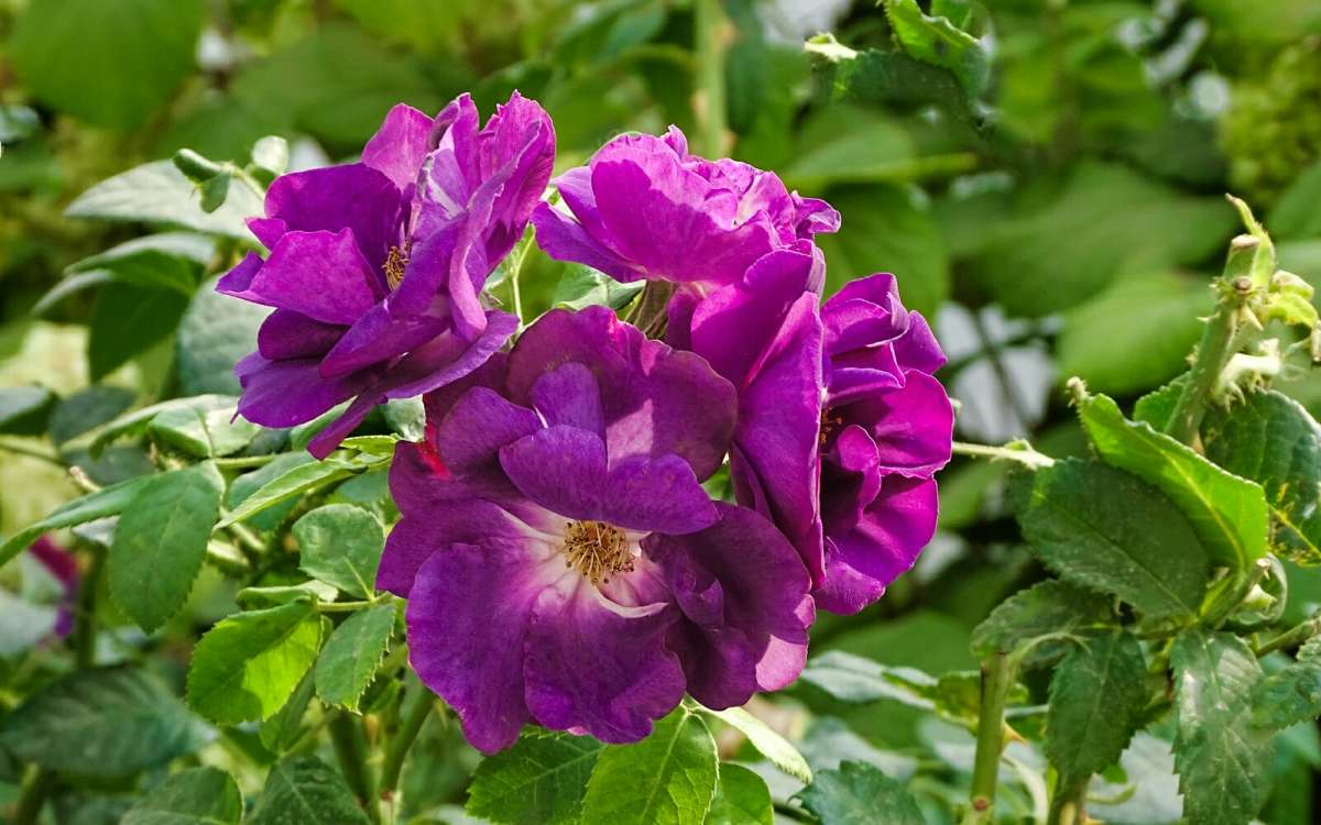 �������� ���� ���. ����� �������� �������� �� PhotoGeek.ru #����� #�����