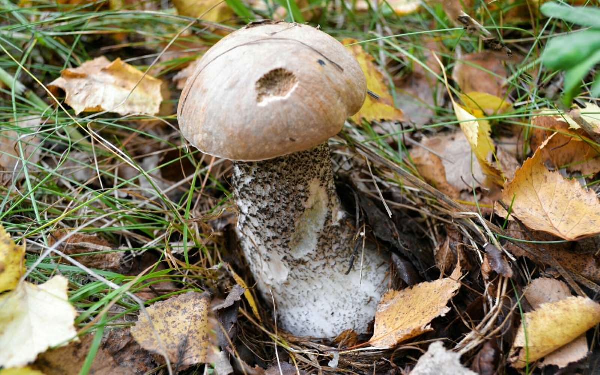 ����������� ������� ����. ����� �������� �������� �� PhotoGeek.ru #����� #������ ��� �������